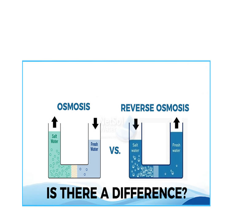 Reverse Osmosis versus Osmosis